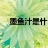墨鱼汁是什么味道的（墨鱼汁什么味道）