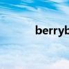 berrybox手机版（berrybox）