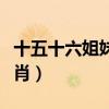 十五十六姐妹花是什么生肖（姐妹花是什么生肖）