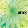 amx elc怎么玩（amx elc）