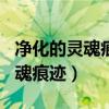 净化的灵魂痕迹100级版本去哪换（净化的灵魂痕迹）