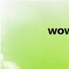 wow大区（wow网通区）