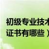初级专业技术资格证书有哪些（专业技术资格证书有哪些）