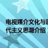 电视媒介文化与后现代主义思潮（关于电视媒介文化与后现代主义思潮介绍）