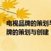 电视品牌的策划与创建：《艺术人生》透析报（关于电视品牌的策划与创建：《艺术人生》透析报介绍）