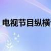 电视节目纵横谈（关于电视节目纵横谈介绍）