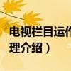 电视栏目运作与管理（关于电视栏目运作与管理介绍）