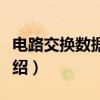 电路交换数据业务（关于电路交换数据业务介绍）