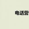 电话营销（关于电话营销介绍）