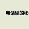 电话里的秘密(关于电话里的秘密介绍) 电话里的秘密(关于电话里的秘密介绍)