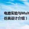 电路实验与Multisim仿真设计（关于电路实验与Multisim仿真设计介绍）