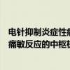 电针抑制炎症性痛敏反应的中枢机制（关于电针抑制炎症性痛敏反应的中枢机制介绍）