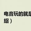 电音玩的就是高调（关于电音玩的就是高调介绍）