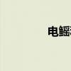 电鳐科(关于电鳐科介绍) 电鳐科(关于电鳐科介绍)