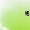 畅游（关于畅游介绍）
