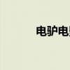 电驴电影（关于电驴电影介绍）