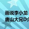 画说李小龙：唐山大兄D（关于画说李小龙：唐山大兄D介绍）