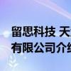 留思科技 天津有限公司（关于留思科技 天津有限公司介绍）