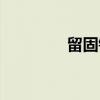 留固镇（关于留固镇介绍）