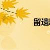 留遗魂（关于留遗魂介绍）