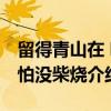 留得青山在 哪怕没柴烧（关于留得青山在 哪怕没柴烧介绍）