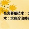畜禽养殖技术：犬病诊治关键技术一点通（关于畜禽养殖技术：犬病诊治关键技术一点通介绍）