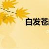 白发苍颜（关于白发苍颜介绍）