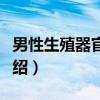 男性生殖器官感染（关于男性生殖器官感染介绍）