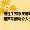 男性生殖系疾病超声诊断与介入治疗（关于男性生殖系疾病超声诊断与介入治疗介绍）