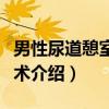 男性尿道憩室切除术（关于男性尿道憩室切除术介绍）