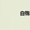白匏岛（关于白匏岛介绍）