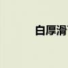 白厚滑苔（关于白厚滑苔介绍）