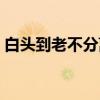 白头到老不分离（关于白头到老不分离介绍）