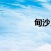 甸沙乡（关于甸沙乡介绍）