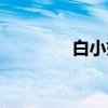 白小姐（关于白小姐介绍）