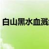白山黑水血溅红（关于白山黑水血溅红介绍）