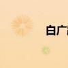 白广路（关于白广路介绍）