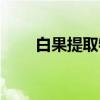 白果提取物（关于白果提取物介绍）