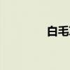 白毛草(关于白毛草介绍) 白毛草(关于白毛草介绍)