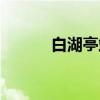 白湖亭站（关于白湖亭站介绍）