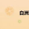 白洲迅（关于白洲迅介绍）