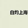 白灼上海青（关于白灼上海青介绍）