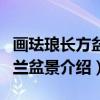 画珐琅长方盆玉兰盆景（关于画珐琅长方盆玉兰盆景介绍）