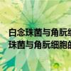 白念珠菌与角朊细胞的相互作用及分子机理研究（关于白念珠菌与角朊细胞的相互作用及分子机理研究介绍）