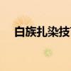 白族扎染技艺（关于白族扎染技艺介绍）
