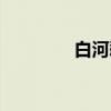 白河愁（关于白河愁介绍）