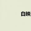 白映泽（关于白映泽介绍）