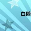白獭髓（关于白獭髓介绍）
