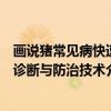 画说猪常见病快速诊断与防治技术（关于画说猪常见病快速诊断与防治技术介绍）