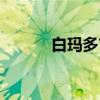白玛多吉（关于白玛多吉介绍）